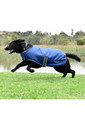 2022 Weatherbeeta Comfitec Windbreaker Free Deluxe Dog Coat 1003914 - Dark Blue / Grey / White
